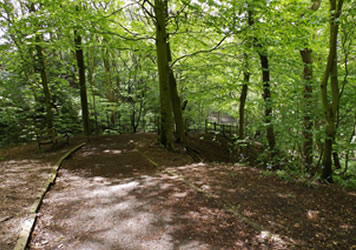 Exploring the forest with  at Lilliputs Day Nursery in Westhoughton